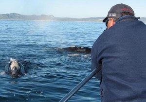 Wilfred Chivell awarded honorary lifetime membership 